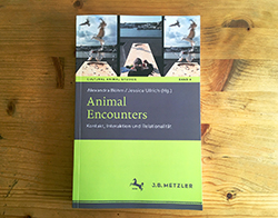 Animal encounters 